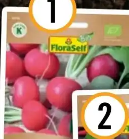 Hornbach FloraSelf Bio Radieschen Cherry Belle Angebot