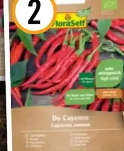 Hornbach FloraSelf Bio-Chili-Paprika De Cayenne Angebot