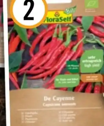 Hornbach FloraSelf Bio-Chili-Paprika De Cayenne Angebot