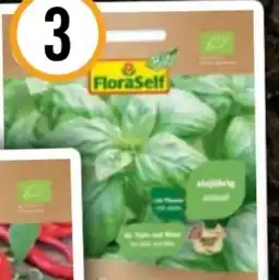Hornbach FloraSelf Bio-Basilikum Genoveser Angebot