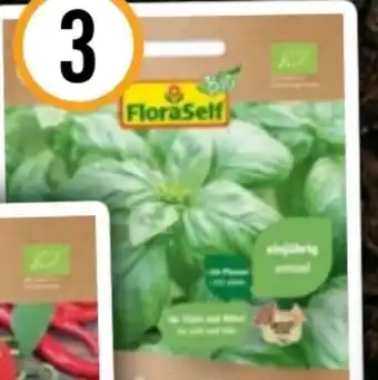 Hornbach FloraSelf Bio-Basilikum Genoveser Angebot