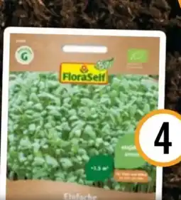 Hornbach FloraSelf Bio-Kresse Einfache Angebot