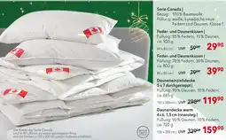 Matratzen Concord Feder- und daunenkissen Angebot