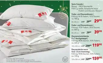 Matratzen Concord Feder- und daunenkissen Angebot