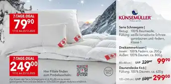 Matratzen Concord Dreikammerkissen Angebot