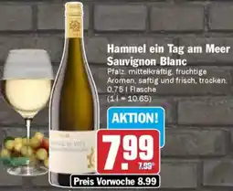 AEZ Hammel ein Tag am Meer Sauvignon Blanc Angebot