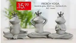 Zurbrüggen Frosch yoga Angebot