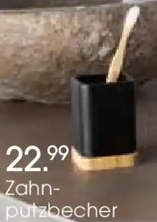 Zurbrüggen Zahn- putzbecher Angebot