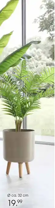 Zurbrüggen Blumentopf aus kunststoff Angebot