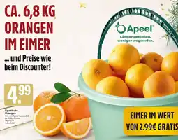 WEZ Spanische Orangen Angebot