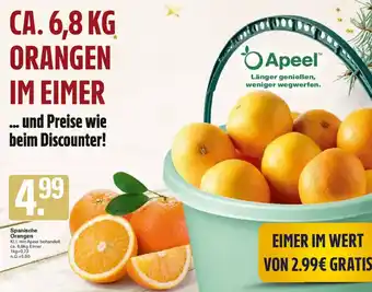 WEZ Spanische Orangen Angebot