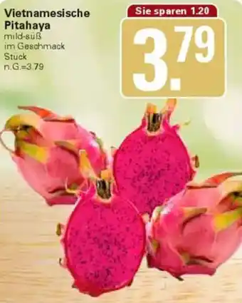 WEZ Vietnamesische Pitahaya Angebot