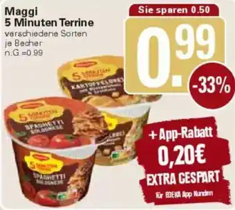 WEZ Maggi 5 Minuten Terrine Angebot