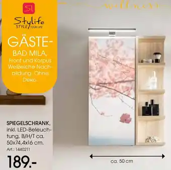 Zurbrüggen Stylife Spiegelschrank Angebot