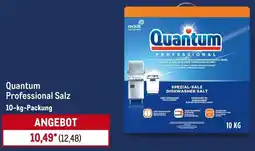 METRO Quantum Professional Salz Angebot