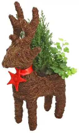 Kaufland Weihnachts Rentier Angebot