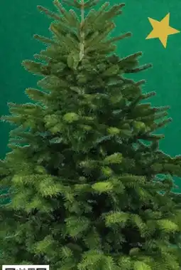 Kaufland Weihnachtsbaum Nordmanntanne Angebot