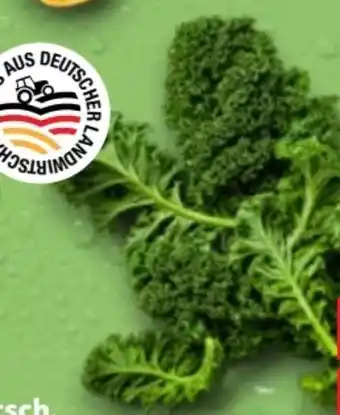 Kaufland Grünkohl Angebot