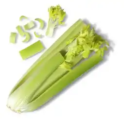 Kaufland Staudensellerie Angebot