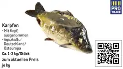METRO Karpfen Angebot