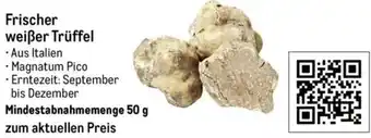 METRO Frischer weißer Trüffel Angebot