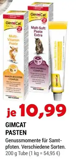 Zookauf Gimcat paste Angebot