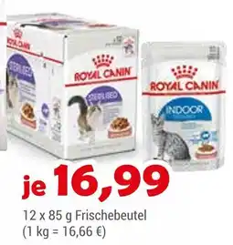 Zookauf Royal canin katzenfutter Angebot