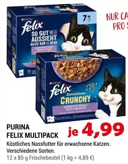 Zookauf Purina felix multipack Angebot