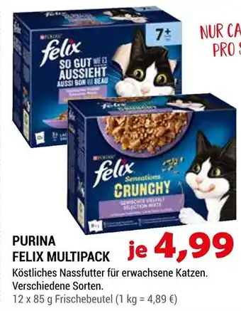 Zookauf Purina felix multipack Angebot