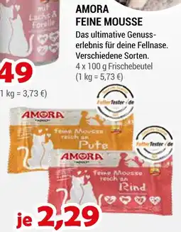 Zookauf Amora feine mousse Angebot