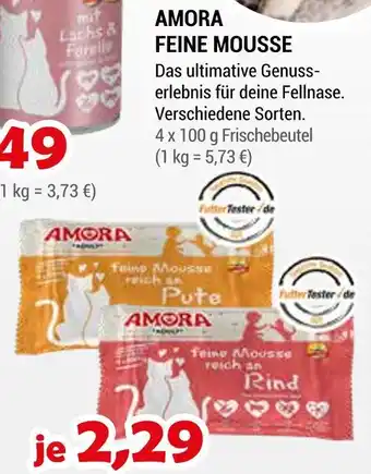 Zookauf Amora feine mousse Angebot
