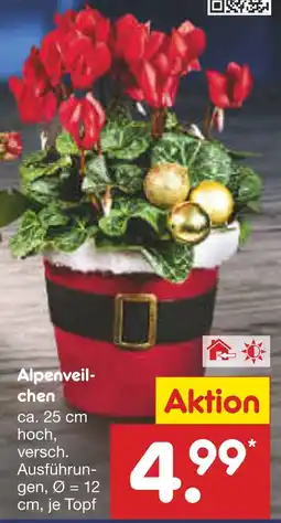Netto Marken-Discount Alpenveilchen Angebot