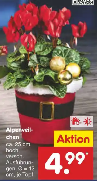 Netto Marken-Discount Alpenveilchen Angebot