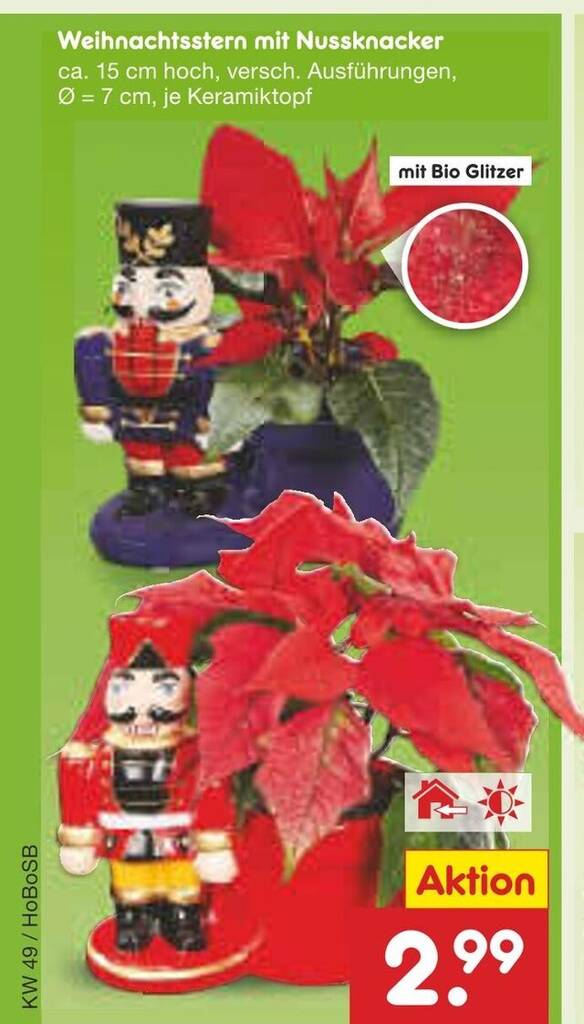 Weihnachtsstern mit nussknacker Angebot bei Netto Marken-Discount
