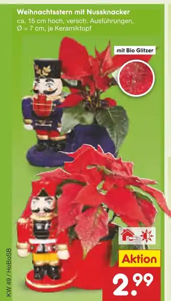 Netto Marken-Discount Weihnachtsstern mit nussknacker Angebot