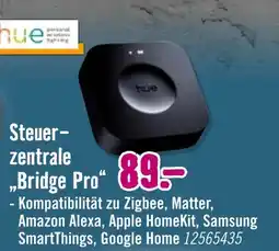 Hornbach Hue steuerzentrale bridge pro Angebot