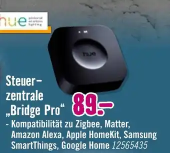 Hornbach Hue steuerzentrale bridge pro Angebot