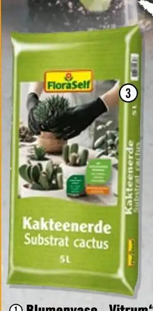 Hornbach Floraself kakteenerde, 5 l Angebot