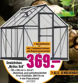 Hornbach Gewächshaus mythos 6x8 Angebot