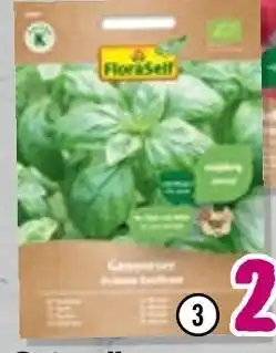 Hornbach Floraself kräutersamen bio-basilikum „genoveser“ Angebot