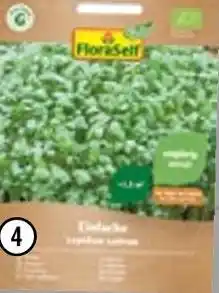 Hornbach Florasef kräutersamen bio-kresse „einfache“ Angebot