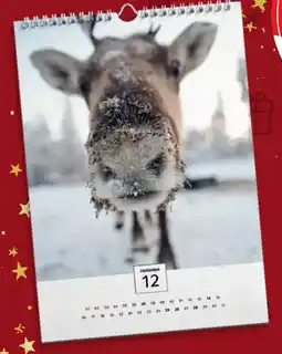 Kaufland Wandkalender A4 Angebot