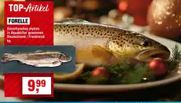 Handelshof Forelle Angebot