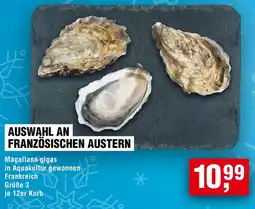 Handelshof Auswahl an französischen austern Angebot