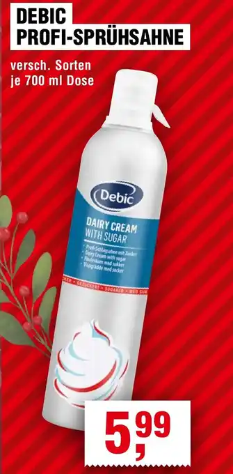 Handelshof Debic profi-sprühsahne Angebot