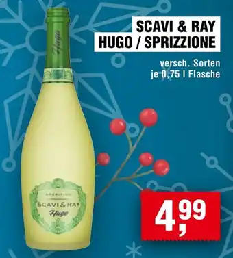 Handelshof Scavi & ray hugo/sprizzione Angebot