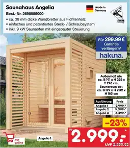 Netto Marken-Discount Saunahaus Angelia Angebot