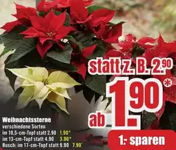 B1 Discount Baumarkt Weihnachtssterne Angebot
