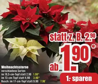 B1 Discount Baumarkt Weihnachtssterne Angebot