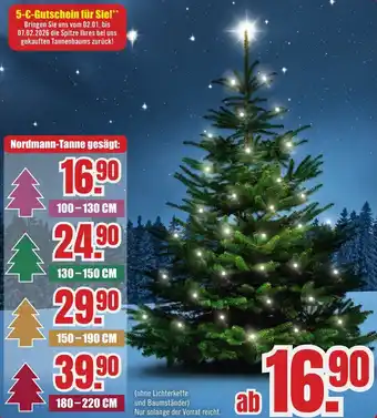 B1 Discount Baumarkt Nordmann-Tanne Angebot